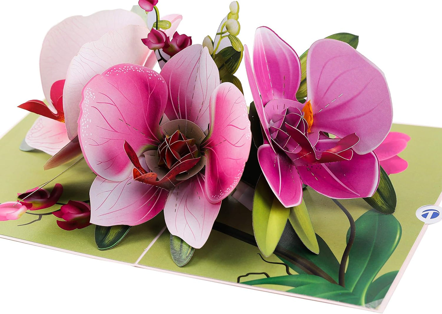 Pop up Orchid Flower Mother Day Card- 3D Cards for Birthday, Anniversary, Thank You Cards, Card for Mom, Congratulation Card, Love Card, All Occasion