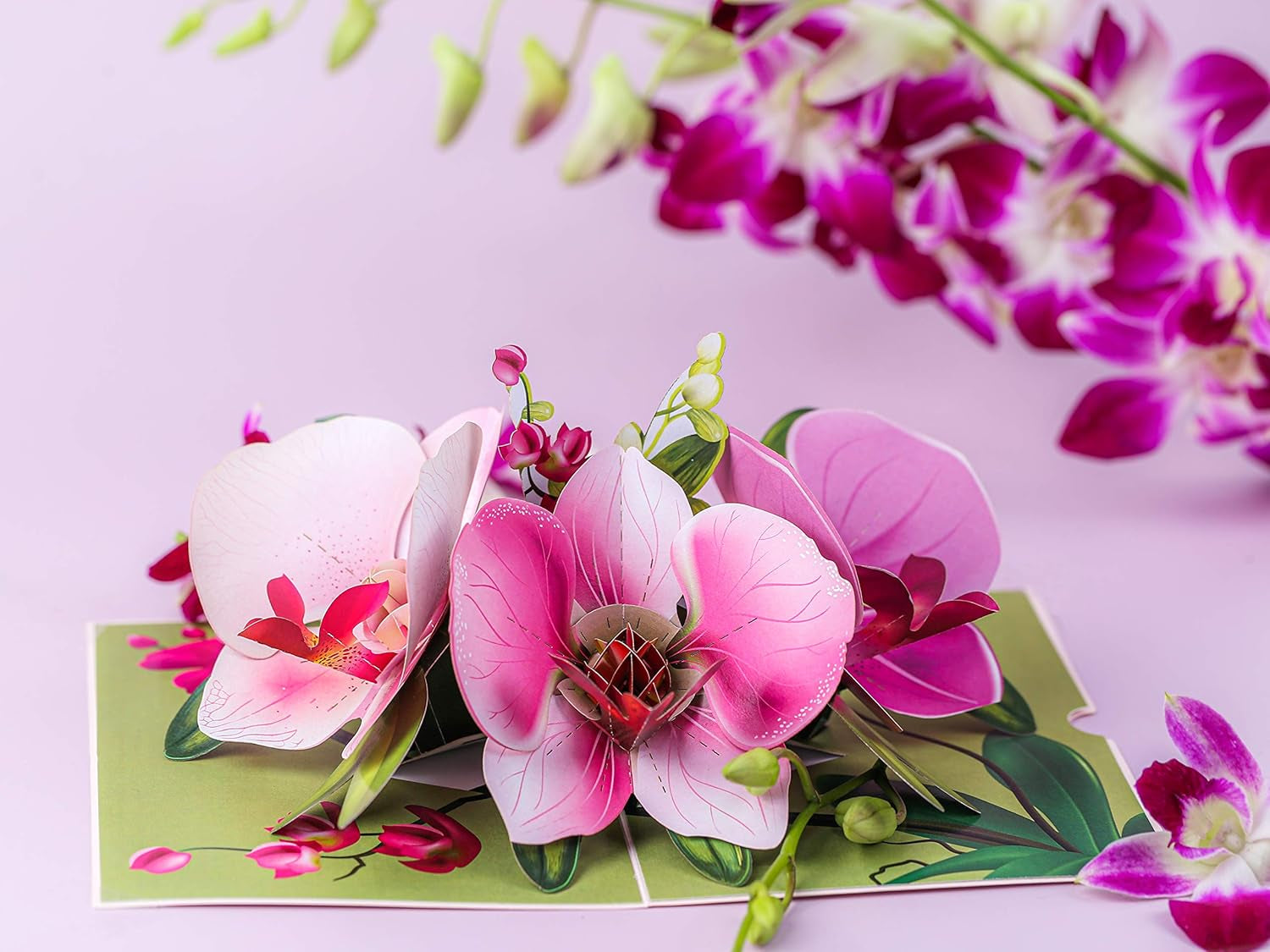 Pop up Orchid Flower Mother Day Card- 3D Cards for Birthday, Anniversary, Thank You Cards, Card for Mom, Congratulation Card, Love Card, All Occasion